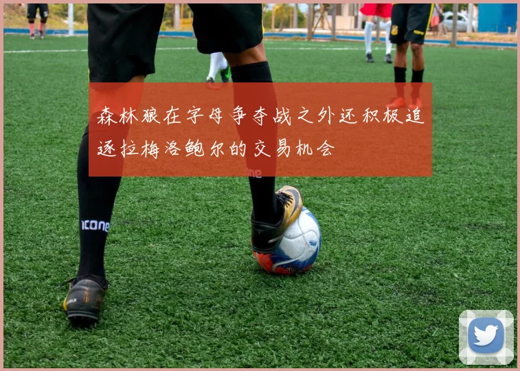 森林狼在字母争夺战之外还积极追逐拉梅洛鲍尔的交易机会